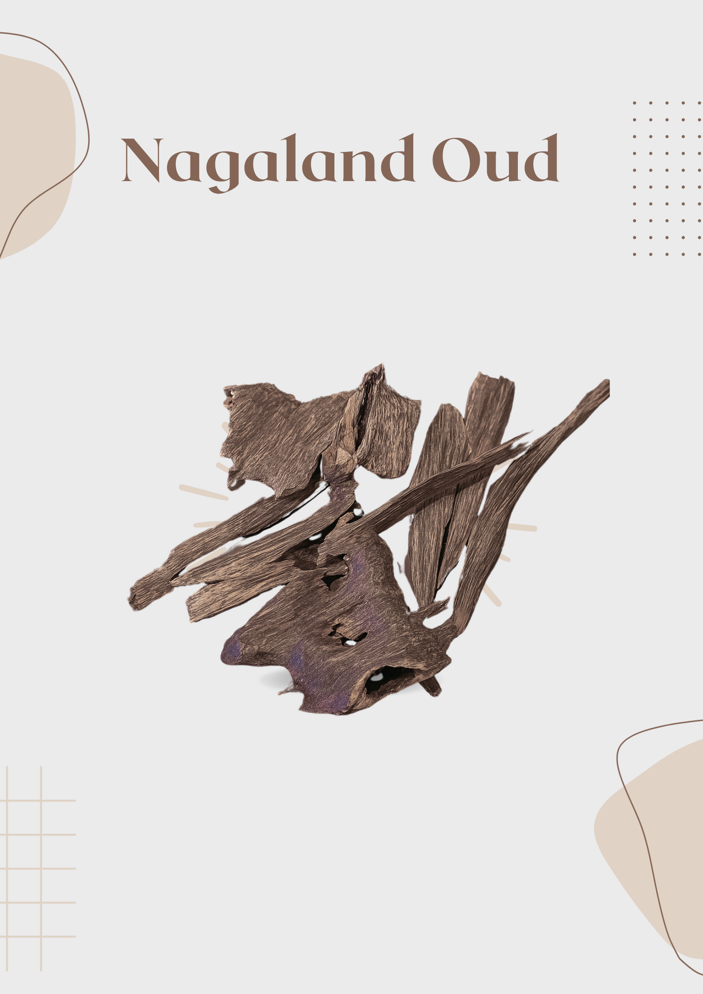 Nagaland Oud