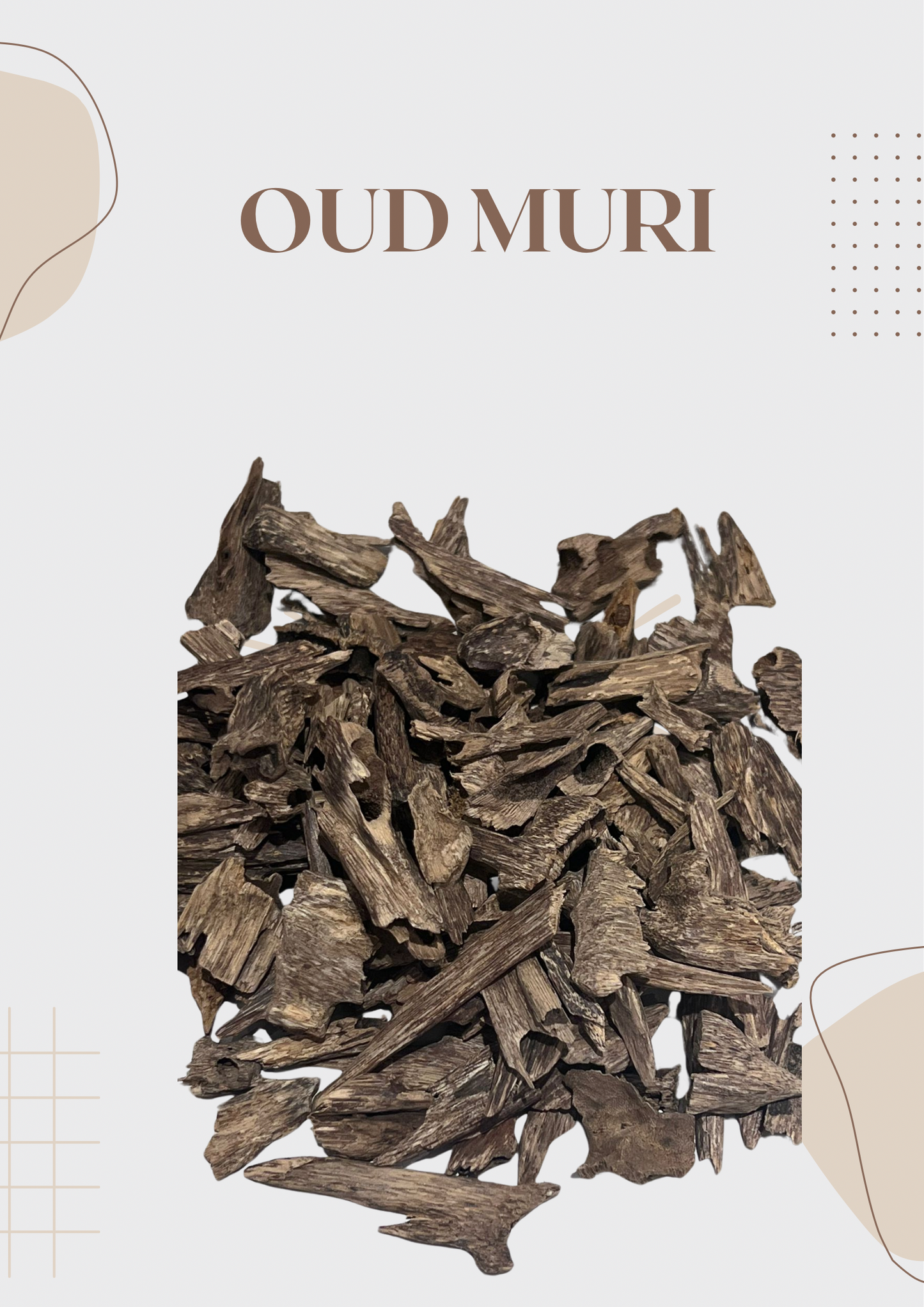 OUD MURI