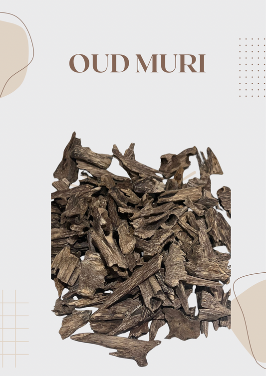 OUD MURI