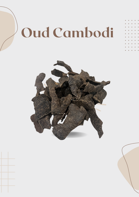 oud cambodi 12 grams